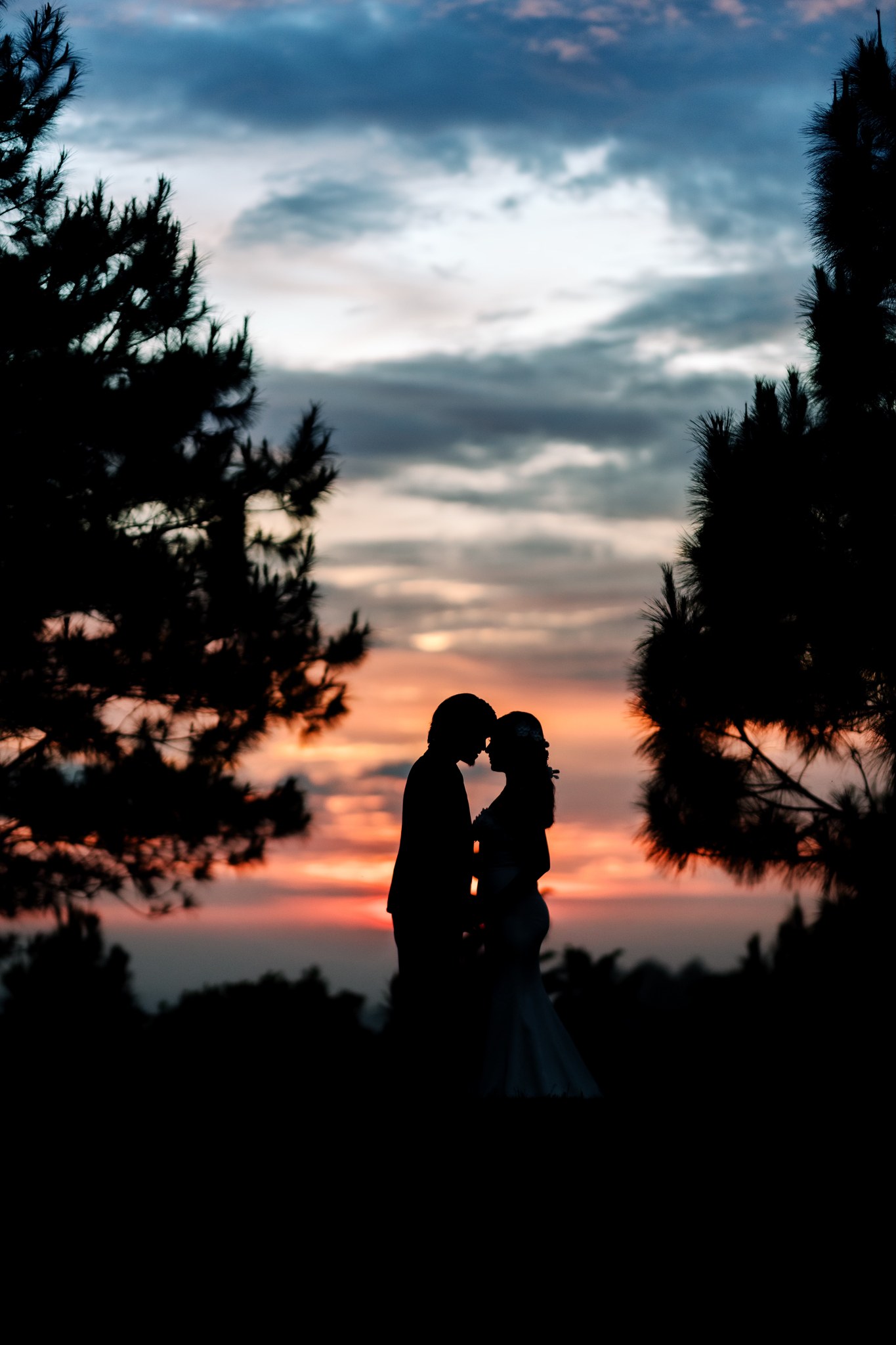 500707148_1267364372059981_8113590293877631413_n 500707148_1267364372059981_8113590293877631413_n